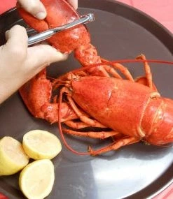 King Kooker Seafood Cracker