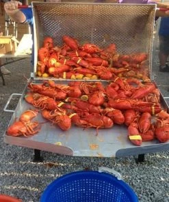 King Kooker Double Sack Crawfish Cooker