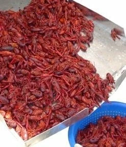 King Kooker Double Sack Crawfish Cooker