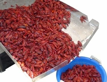 King Kooker Double Sack Crawfish Cooker