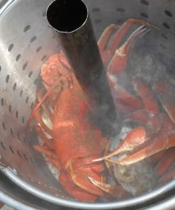 King Kooker Stainless Steel Oil Free Turkey Fryer Pot Turkey Fryers